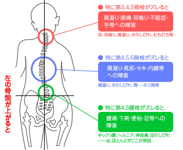 ハシモト施術院 ときわ台のあんしんカイロ整体 施術について ハシモト施術院 ときわ台のあんしんカイロ整体 施術について